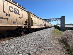 CSXT 254930